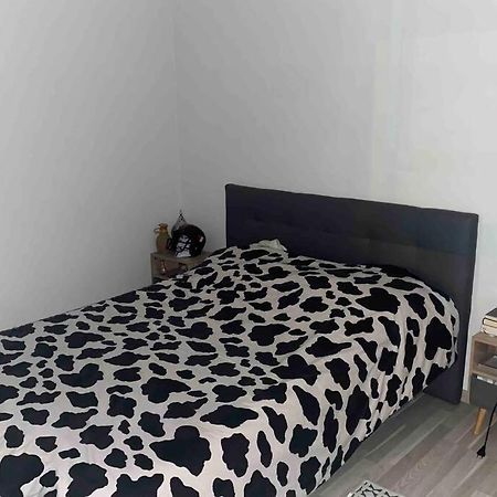 Meyzieu : Superbe Appartement Tres Cosy. Bagian luar foto